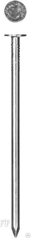 Фото Гвозди с большой потайной головкой, оцинкованные, 100 х 4.2мм, 5 кг, ЗУБР