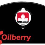 фото Гидравлическое масло Petro-Canada Environ MV 46 1040л 1шт/уп.