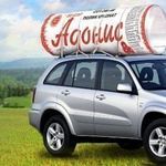 фото Тепличный сотовый поликарбонат «Адонис» 4 мм 2,1 x 3 м