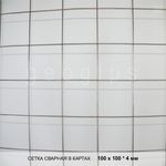 фото Сетка сварная, карты 100x100x4 мм, размер 2x3 м