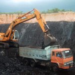 фото Уголь сортовой в мешках 40 кг