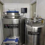фото Aruba Dewar 50L для холодильника с жидким азотом KGSQ под давлением N2