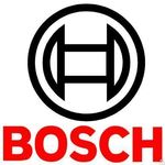 фото Резиновое кольцо (10*) для котла Bosch