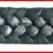 фото Набивка сальниковая с проволкой прорезиненная граф-ная сухая АПРПС3-5 мм