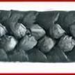 фото Набивка сальниковая с проволкой прорезиненная граф-ная сухая АПРПС 16-18мм
