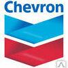 фото Моторное масло для судовых двигателей Chevron Taro® 50 XL 40