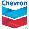 фото Моторное масло для судовых двигателей Chevron Taro® 20 DP 40