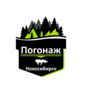 Лого Дисконт - центр СТРОЙПРО