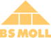 Лого БС-Молл