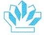 Лого Торговый Дом Компания Соль