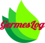 Лого Гермес-логистик